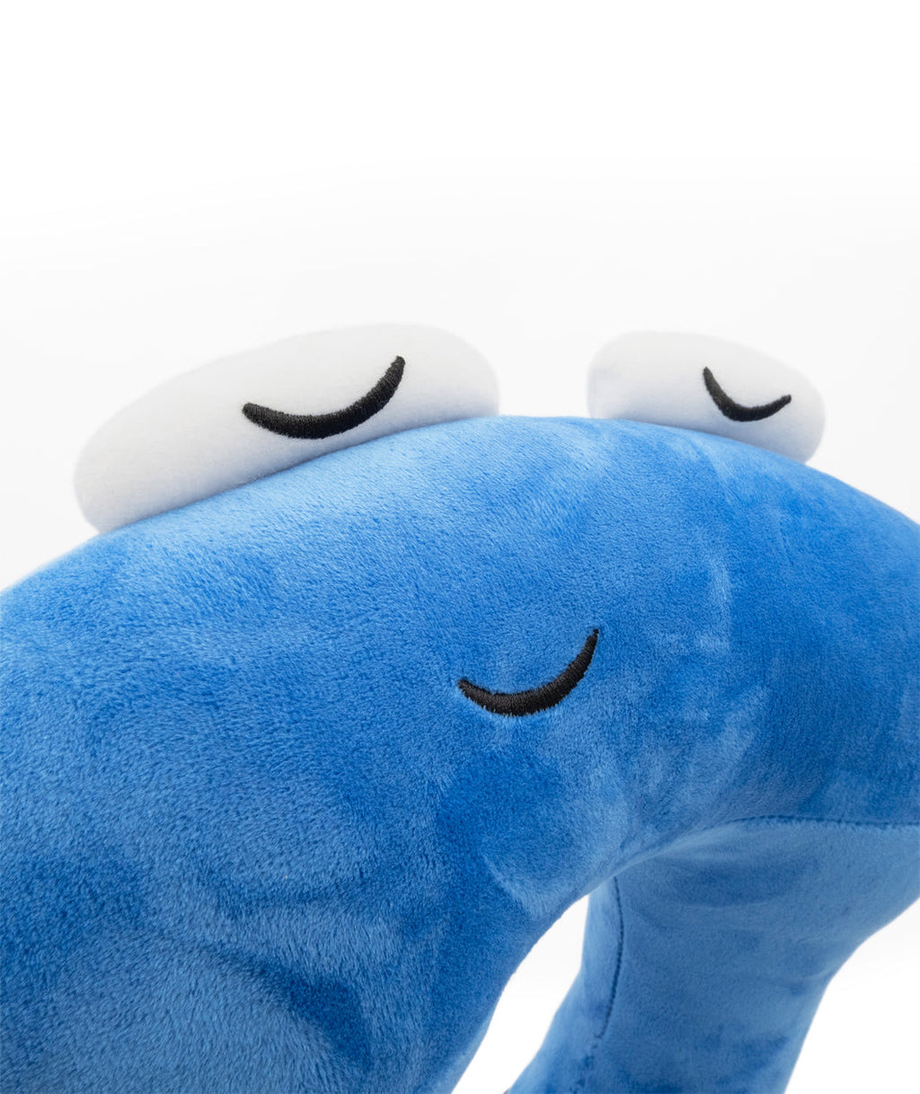 Pi Neck Pillow