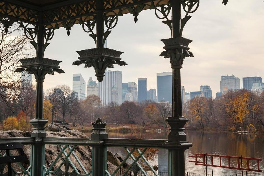 Central Park New York City NYC Manhattan in Autumn Photo Photograph Cool Wall Art Print Poster 36x24
