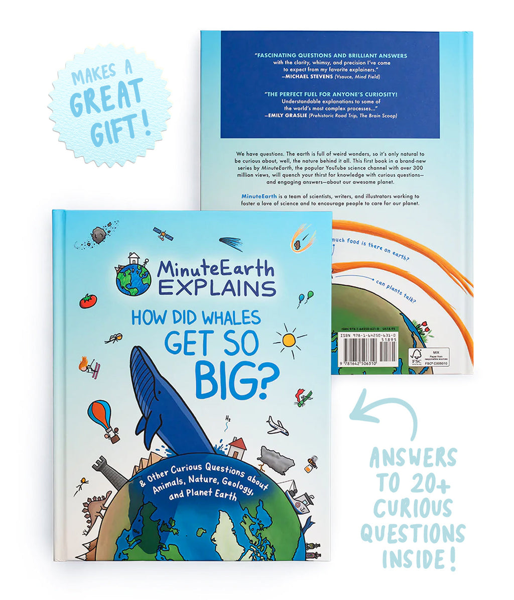MinuteEarth Explains: How Did Whales Get So Big? And Other Curious Questions…