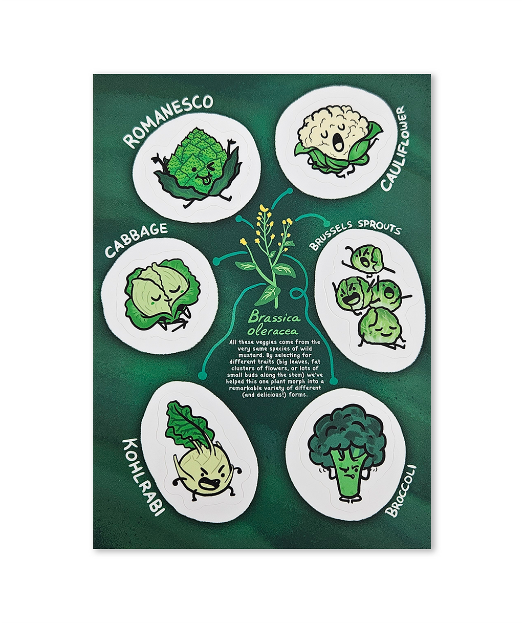 Brassica Gang Sticker Sheet