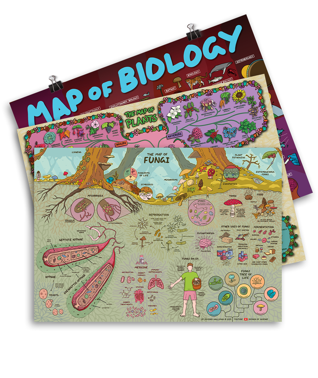 Biology Poster Bundle