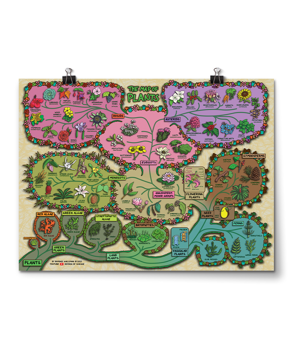 Map of Plants Poster