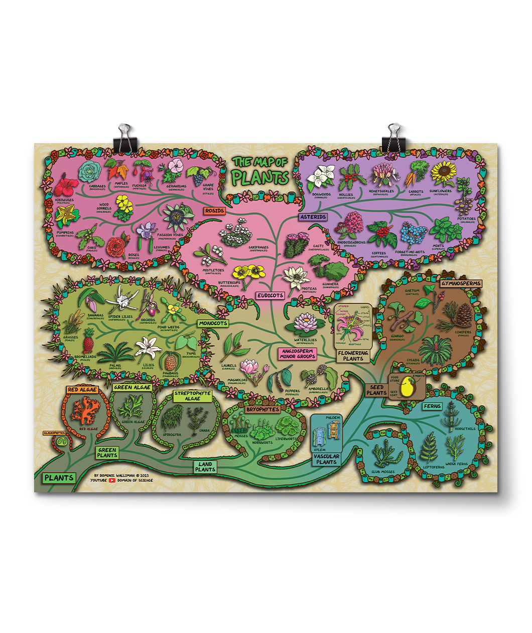 Map of Plants Poster