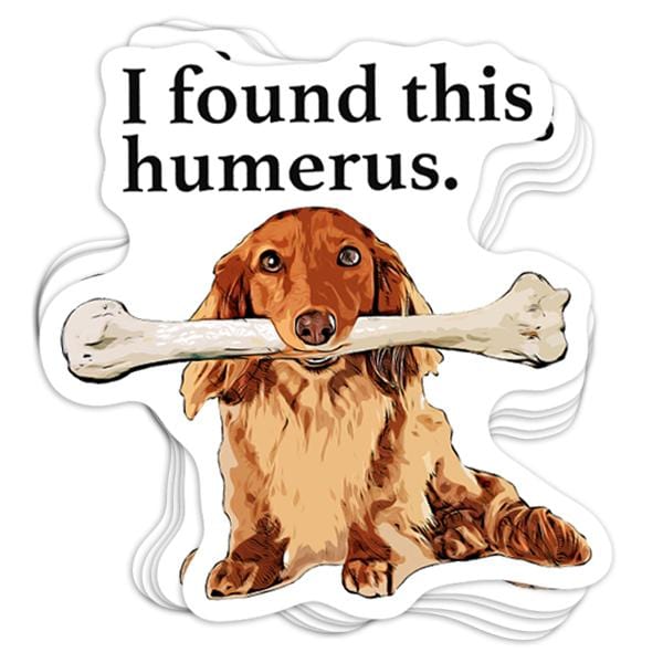 Humerus Vinyl Sticker