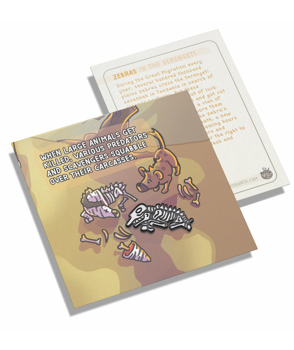 Serengeti Zebra Enamel Pin