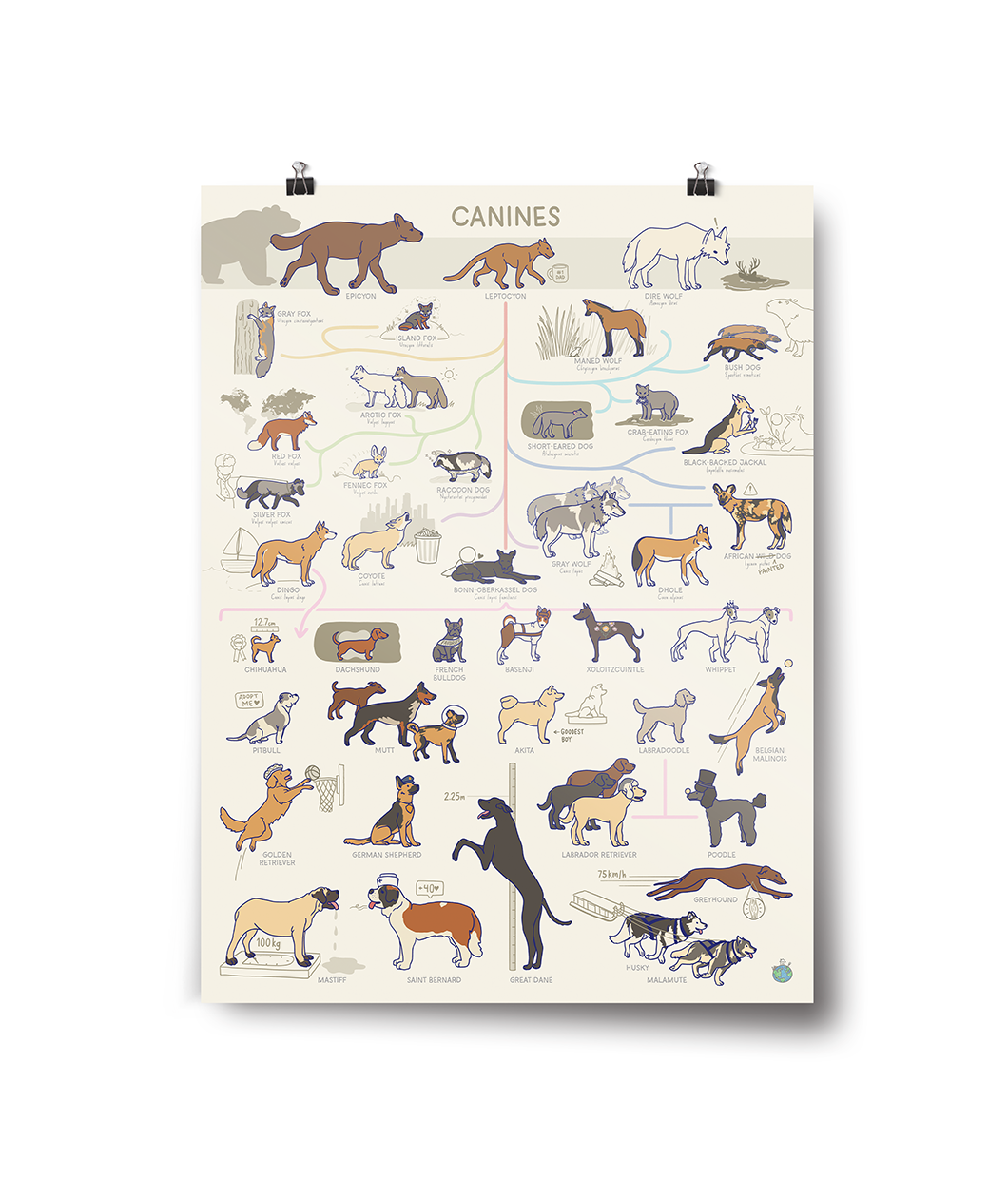 Feline Poster and Canine Poster Bundle