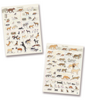 Feline Poster and Canine Poster Bundle