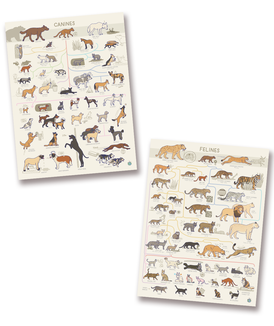 Feline Poster and Canine Poster Bundle