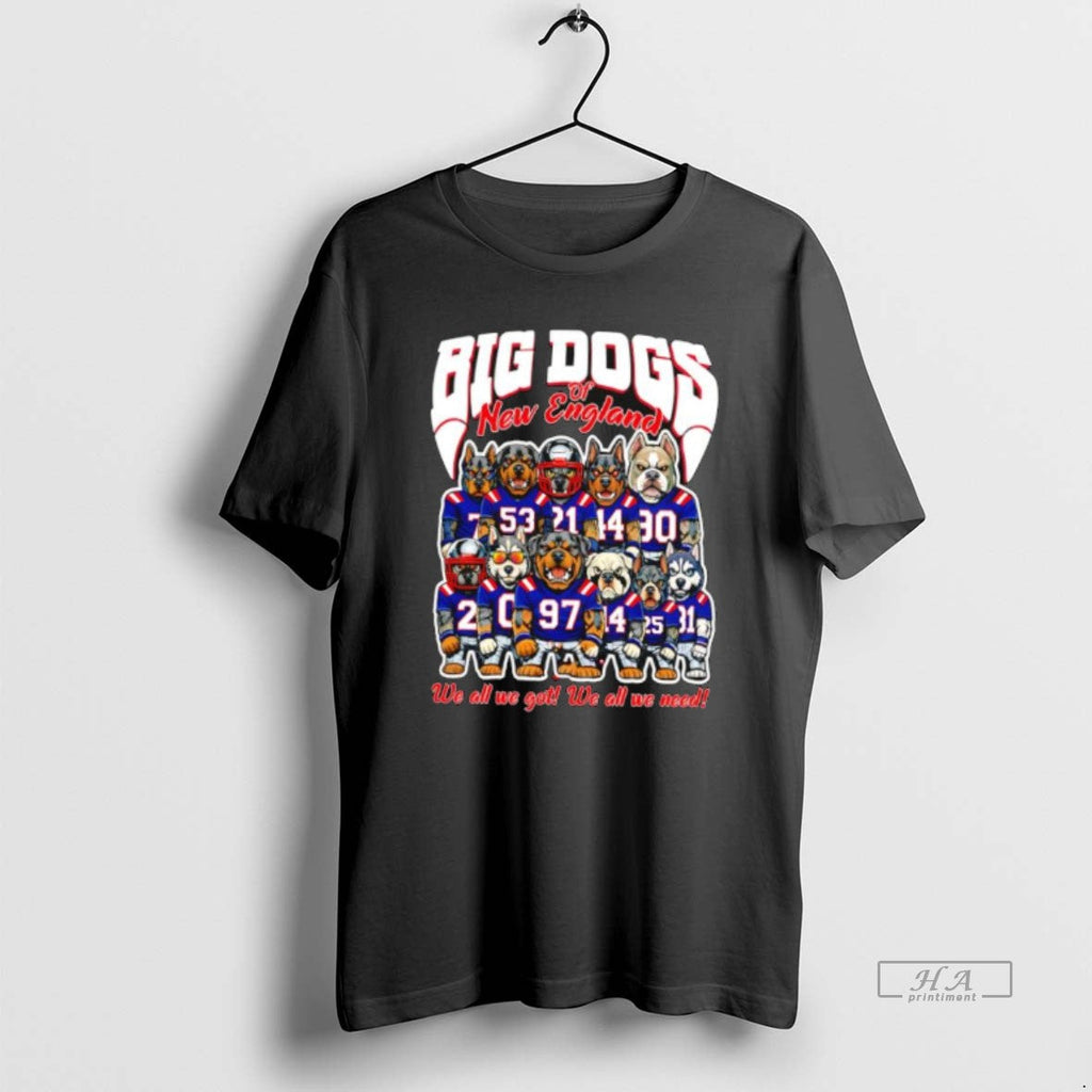 Official Big Dogs New England We All We Got We All We Need T-Shirts, Hoodie, Sweatshirt