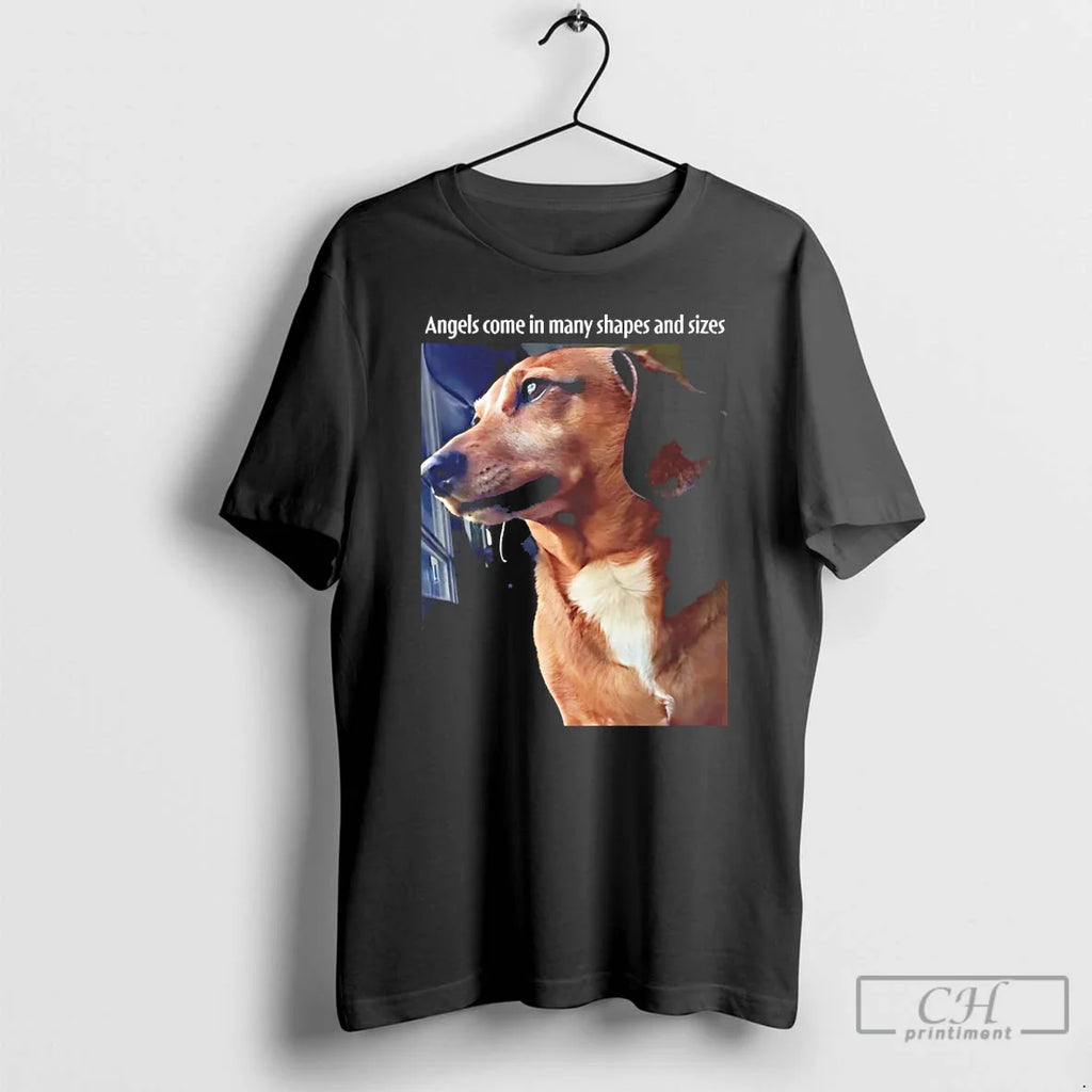Dog Angels Come Many Shapes Sizes T-Shirts, Hoodie, Sweatshirt