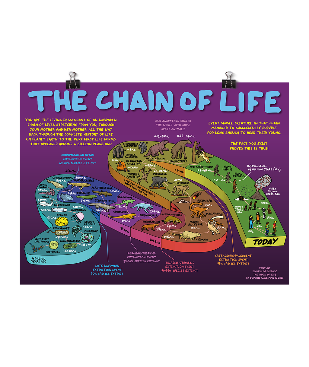 The Chain of Life Poster