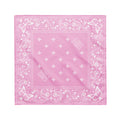 delaine Morin: For The Girls Women's Bandana