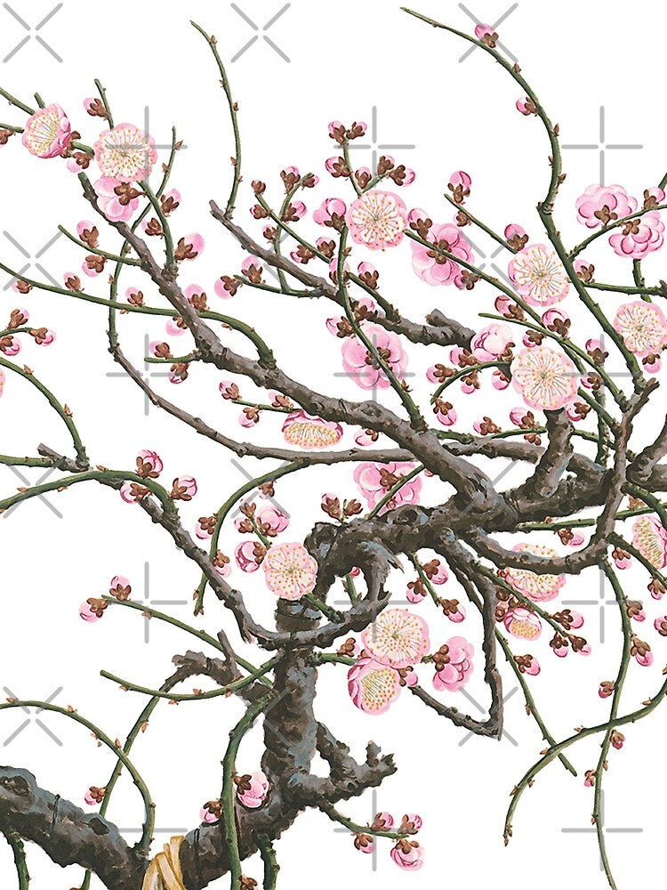 JAPANESE APRICOT FLOWER TREE IN SPRING by BulganLumini