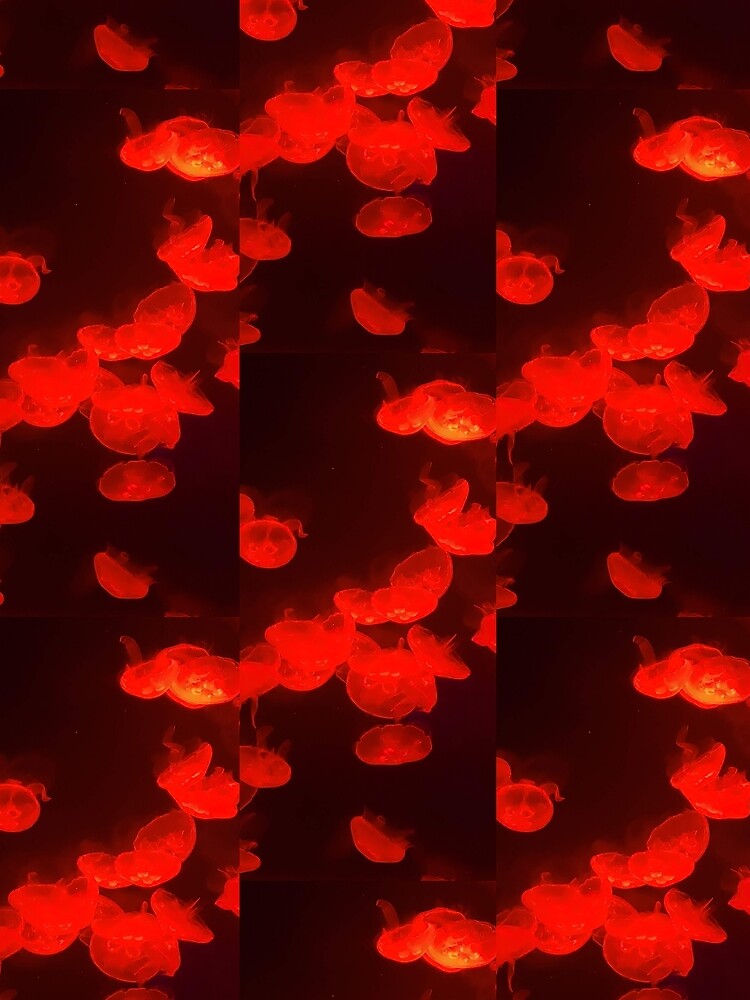 Red Jellies by CVAMarts