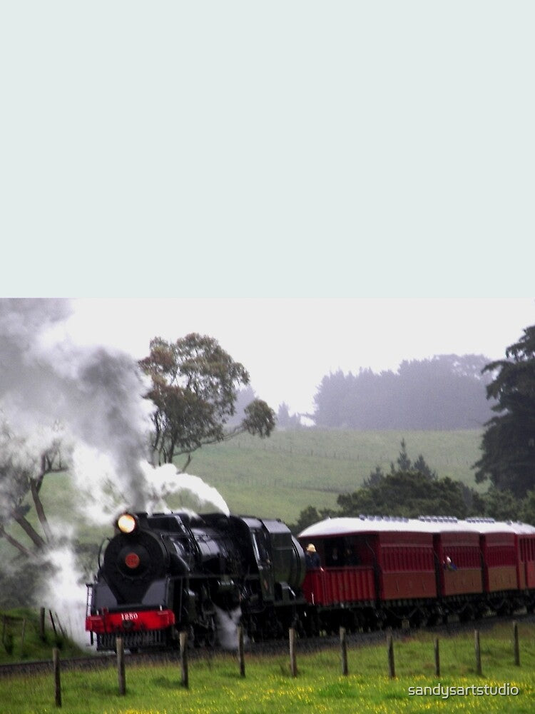 Back in time, Glenbrook, New Zealand by sandysartstudio