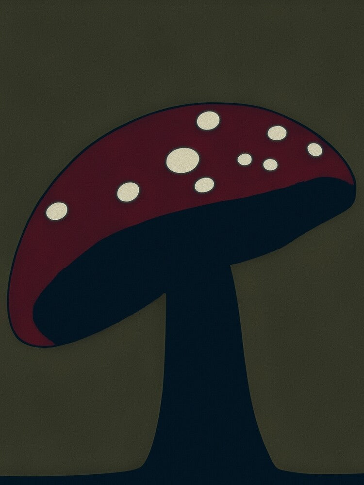 Whimsical Mushroom by whimsicaldrugs