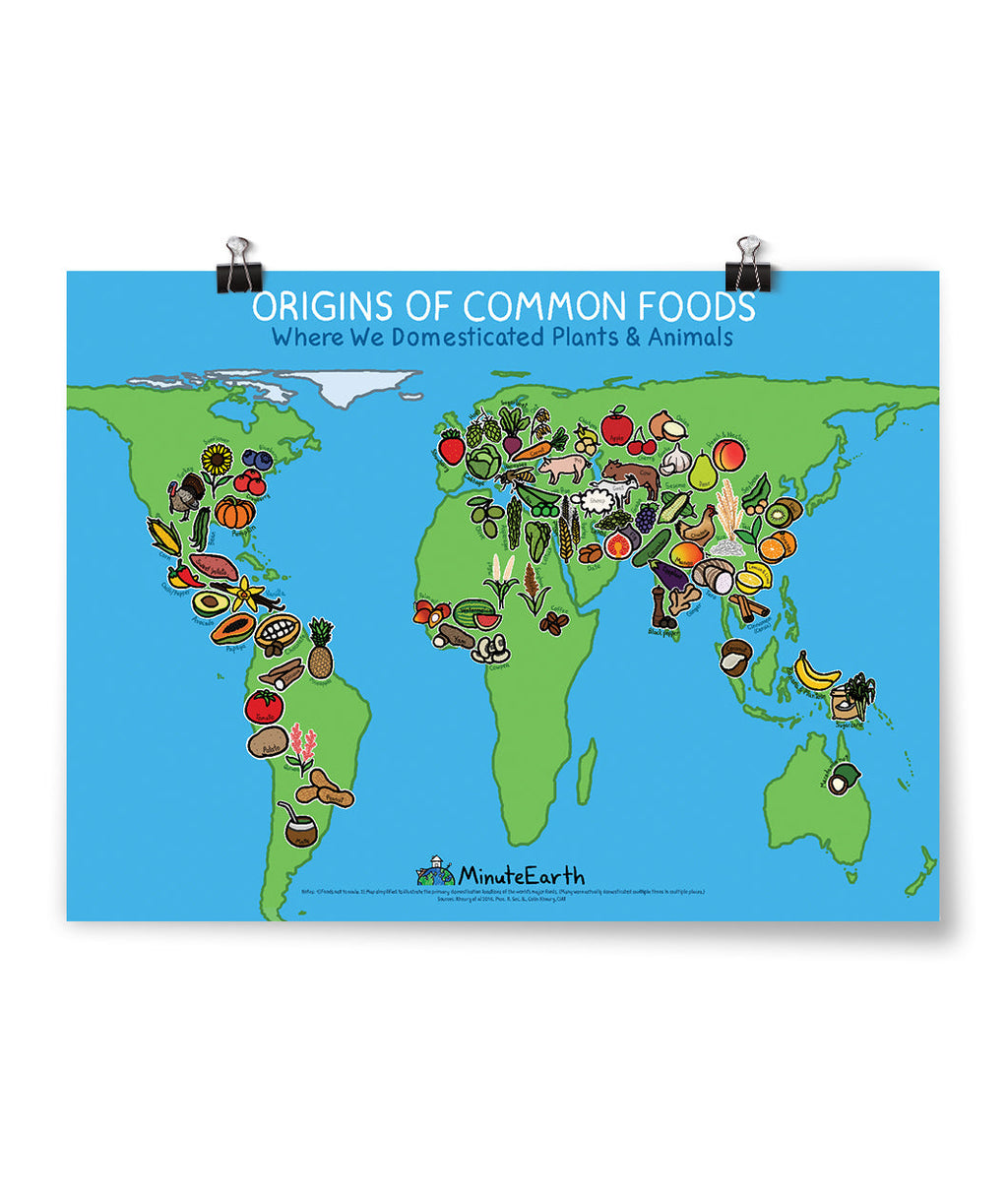 Food Origins Poster
