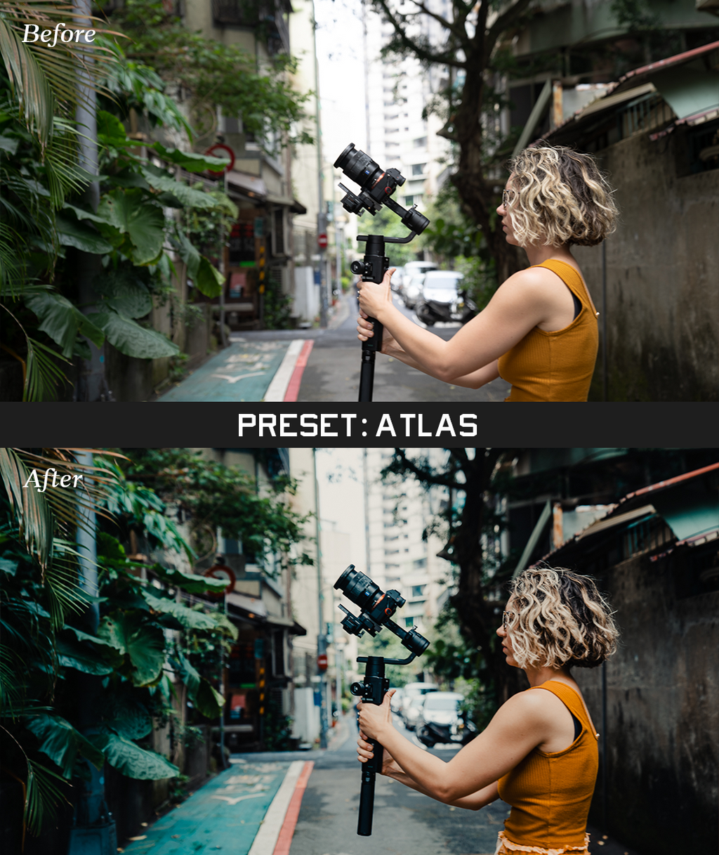 Presets and LUTs