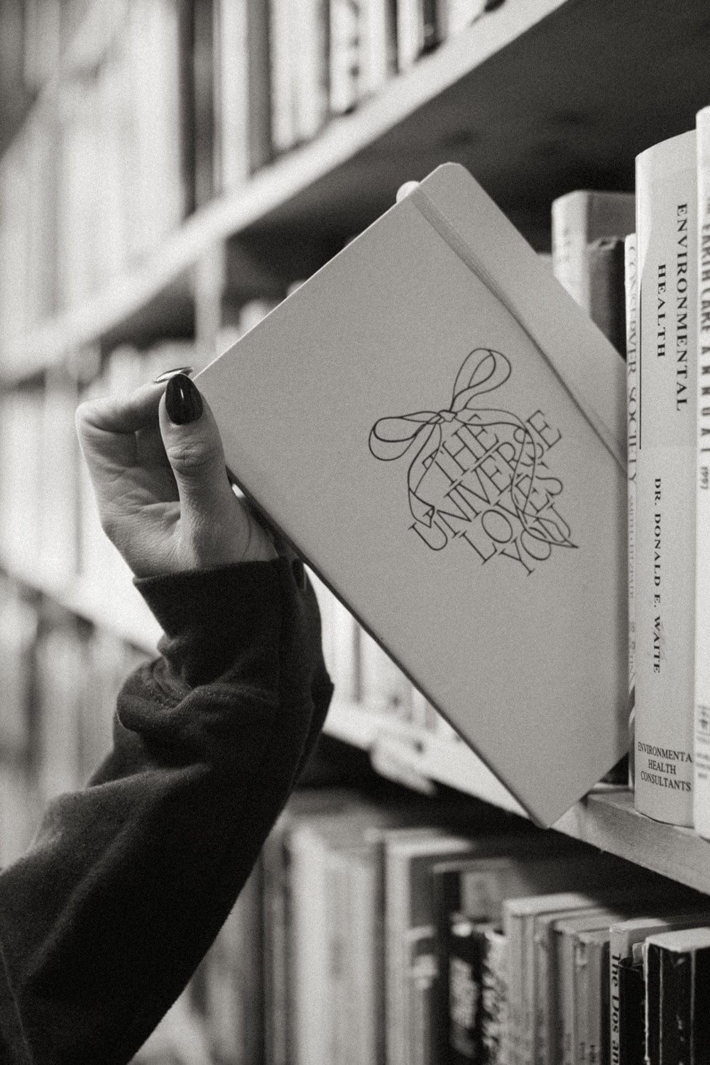 Lauren Raymond: The Universe Loves You Notebook