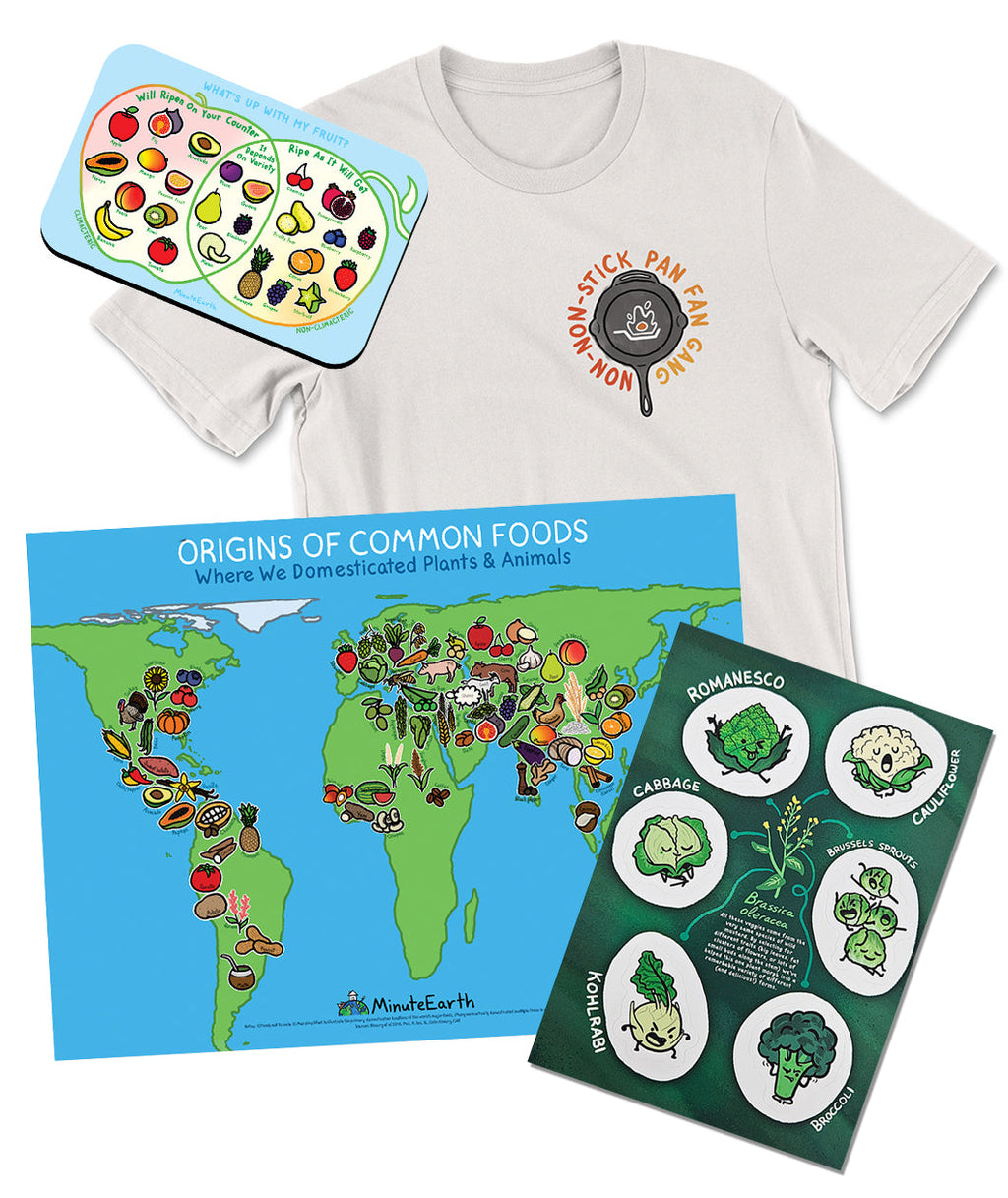 Foodies Bundle