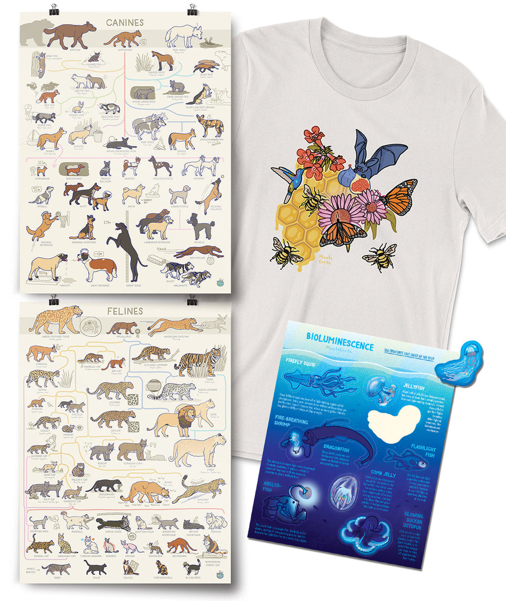 Animal Lovers Bundle