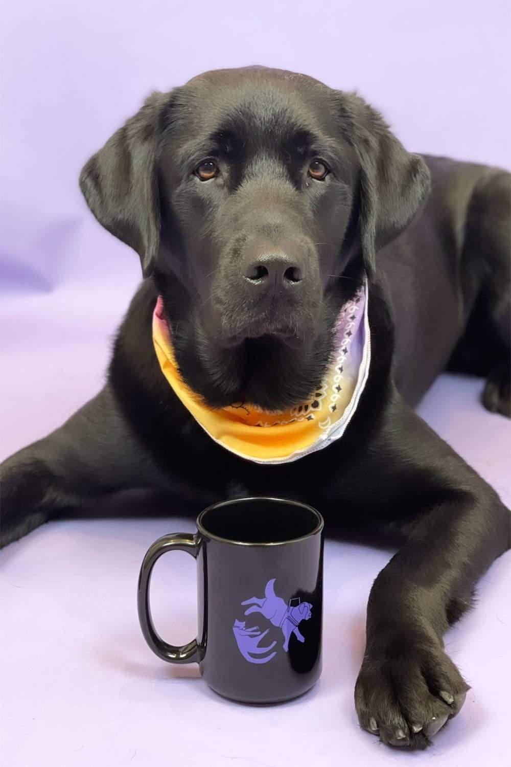 Molly Burke: Classic Pets Black Mug