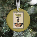 Constantly Evolving Monarch Butterfly Ornament