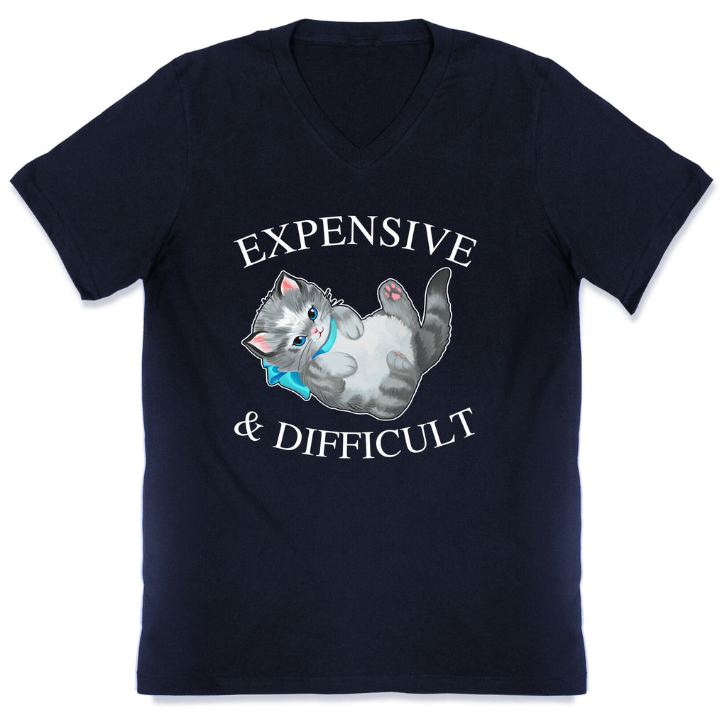 Expensive & Difficult  V-Neck
