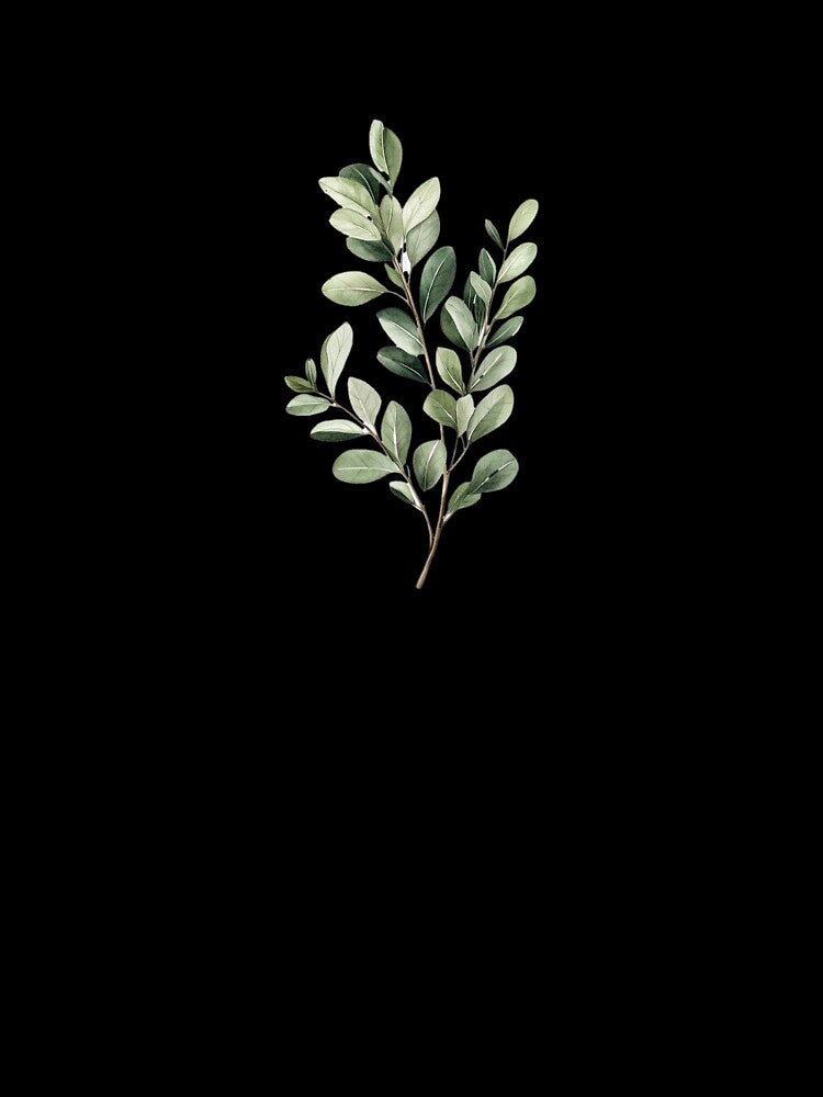Slow Growth Is Still Growth – Eucalyptus Motivation Quote by HHG.
