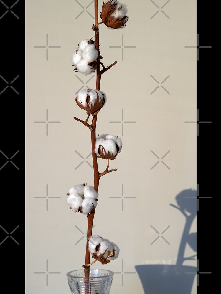cotton sprig by IgorKovalenko