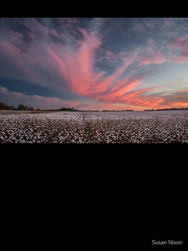 Cotton Candy Above the Cotton Field by Susan  Nixon