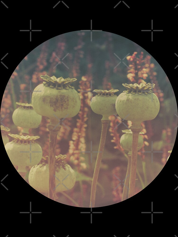 Poppies by ElderIslesPress