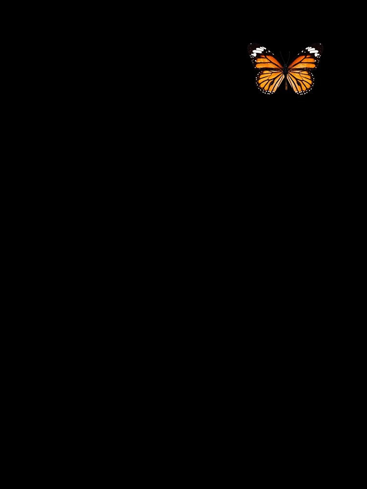 aesthetic cutie little butterfly by kelizzies
