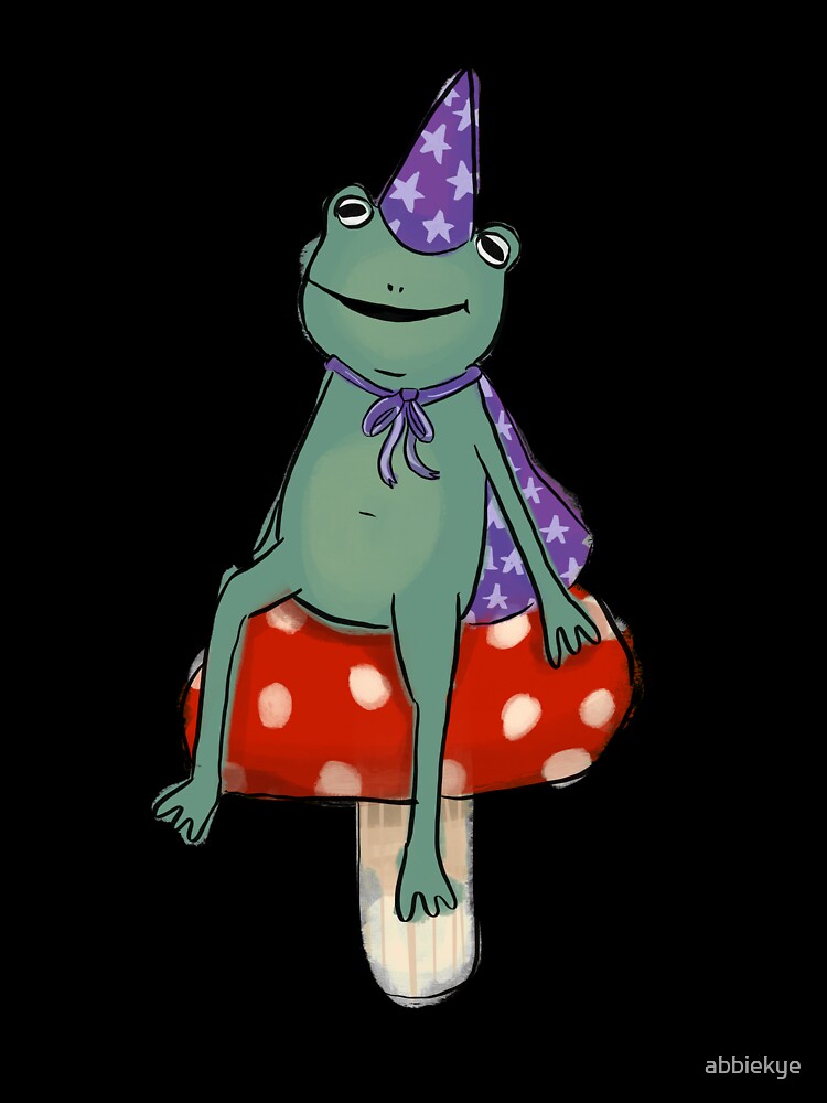Wizard Frog sitting on a Mushroom by abbiekye
