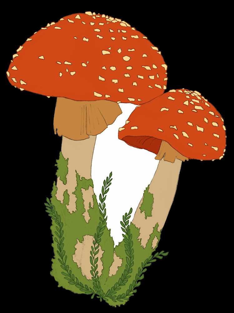 Cute Mossy Mushroom by lauratroy