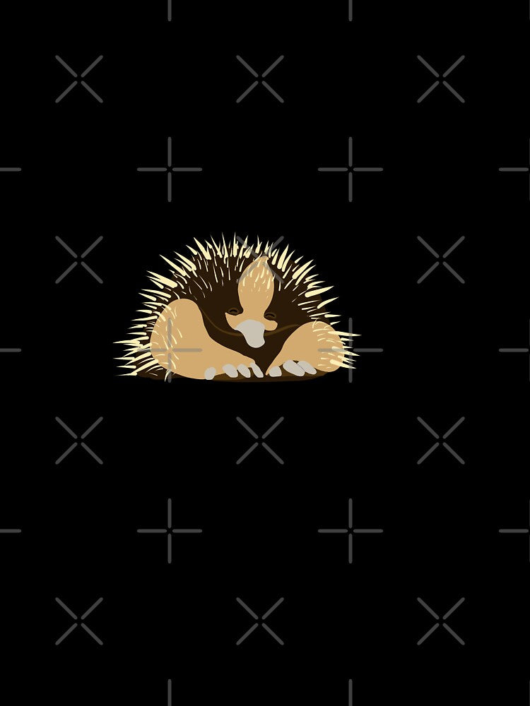 Cute Echidna by RandomDuck2060