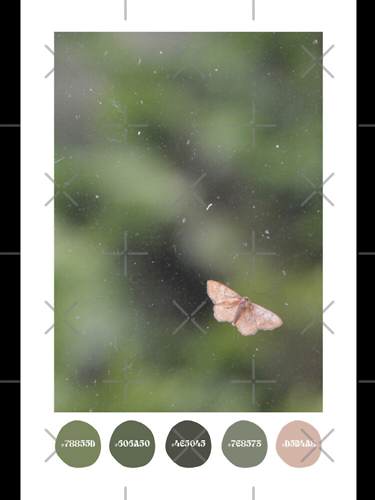 Moth on a Dirty Window Color Palette [Dots] by Tessia Photography