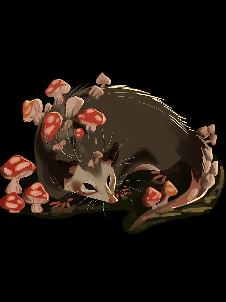 Cute Mushroom Opossum Art by qrfwhislu5
