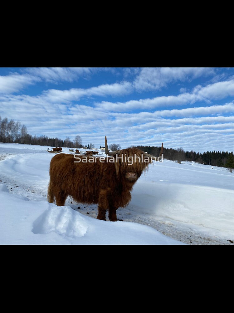 Scottish Highland Cattle Cow 3247 by SaarelaHighland