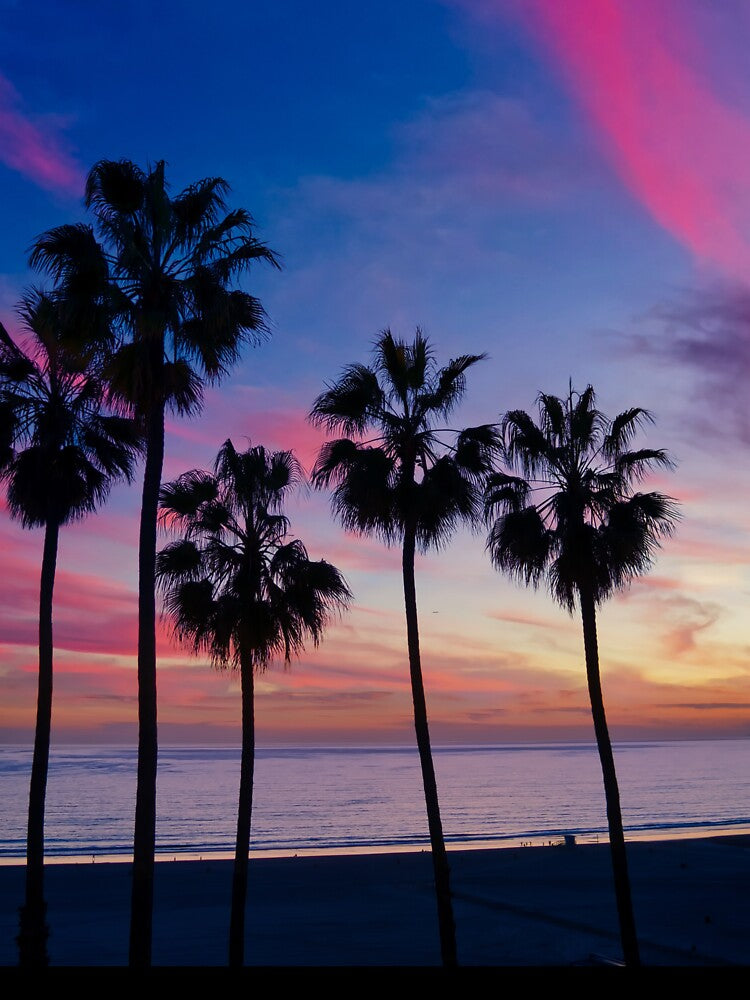 Cotton Candy Pink Palm Tree Ocean Sunset by newburyboutique