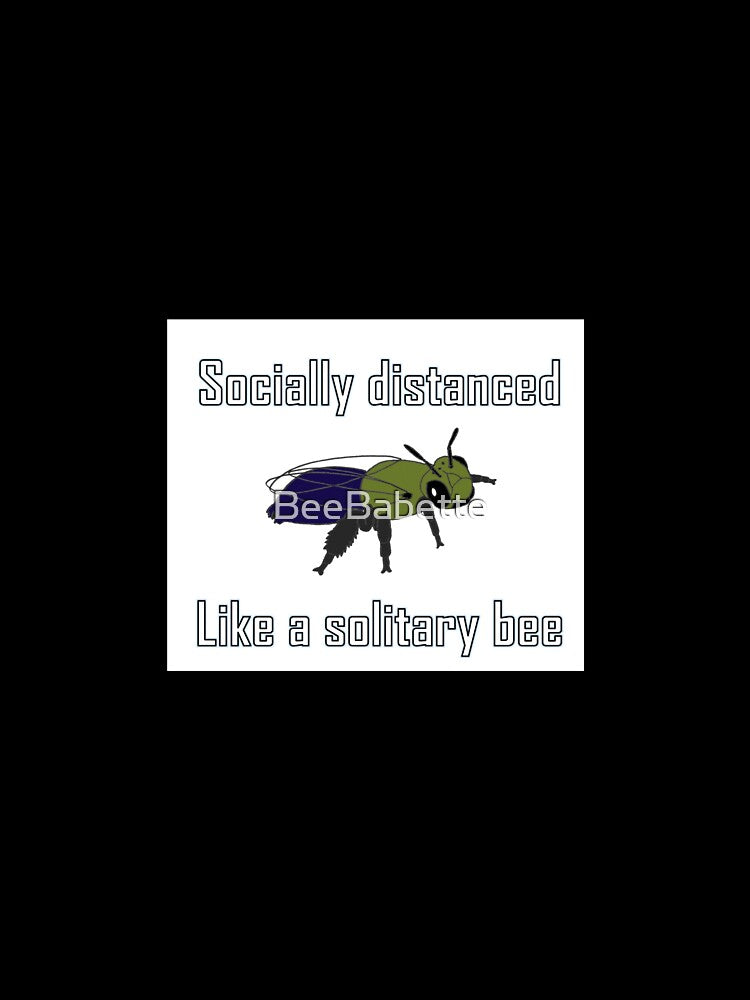 Socially distanced like a solitary bee by BeeBabette
