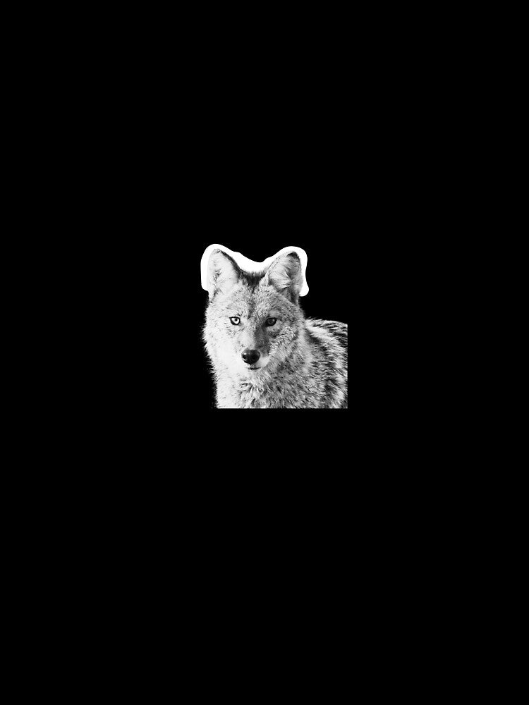 Protect the Wild- Coyote by Couchiching Conservancy