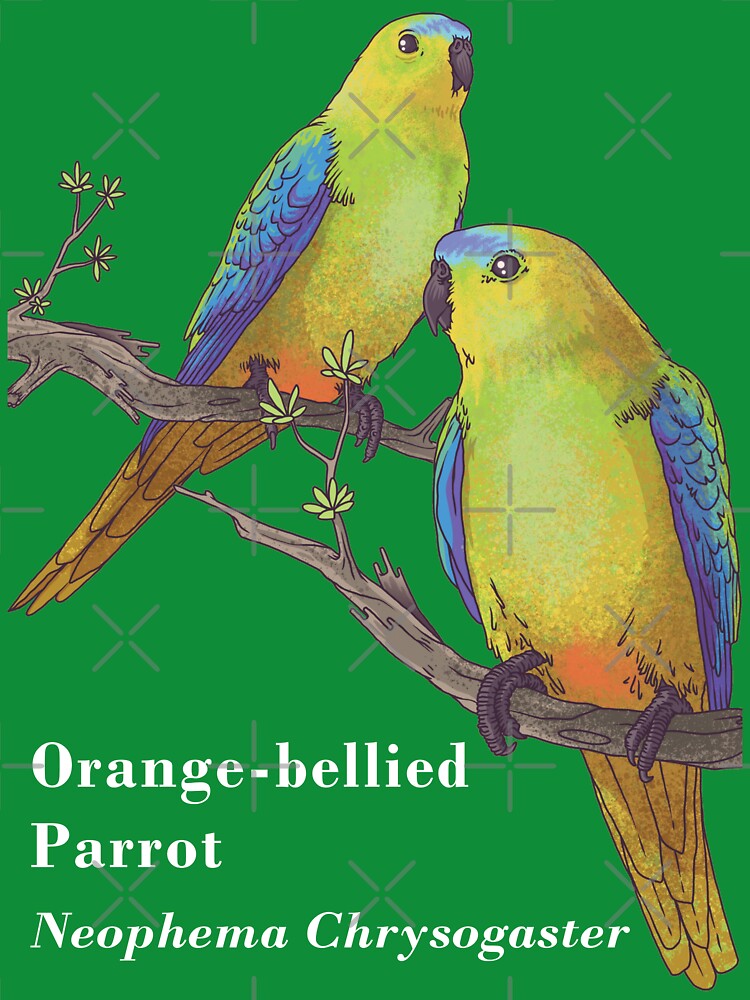 2 OBPs (b) species | dark t-shirts by Friends of OBP