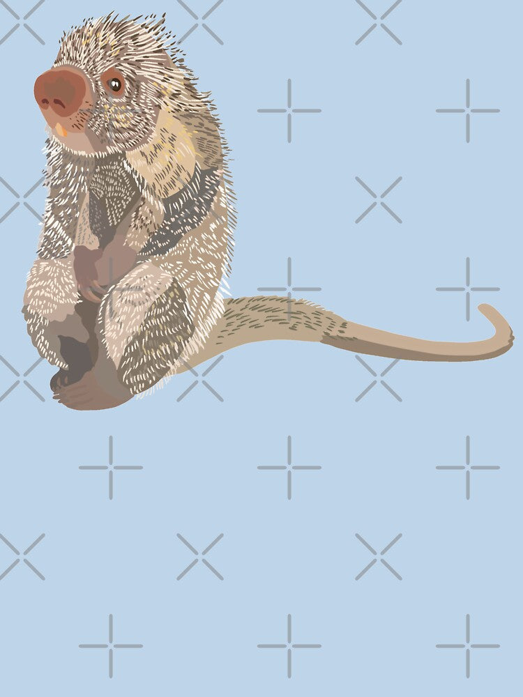 P is for Prehensile Porcupine,Prehensile Porcupine Illustration – Unique Climbing Rodent Artwork by PrettylittlepastelUk
