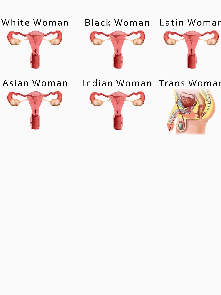 Basic Human Facts by Satire Printing