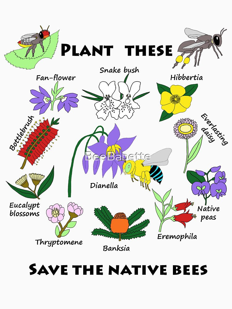 Plant these, save the native bees by BeeBabette