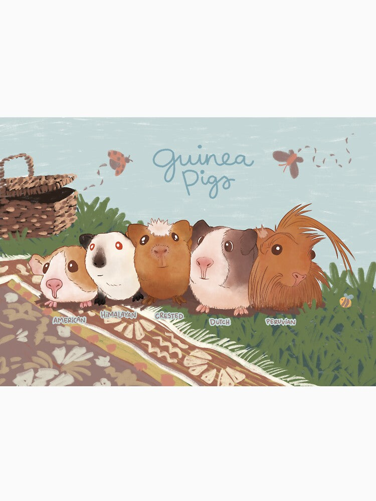 Guinea Pig Picnic by Brittany Hefren