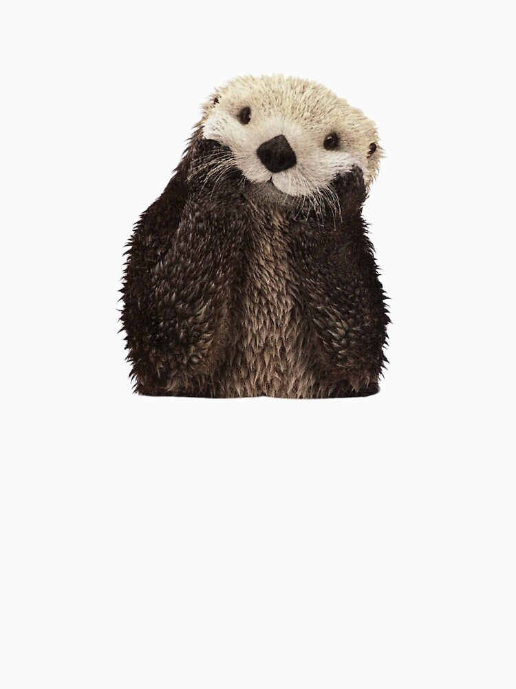 Otter by Otterly Cute