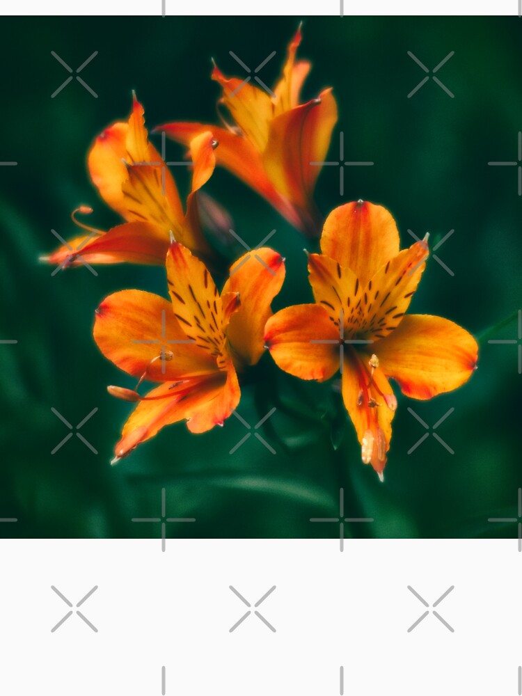 Saint Martin's Lilies by ElderIslesPress