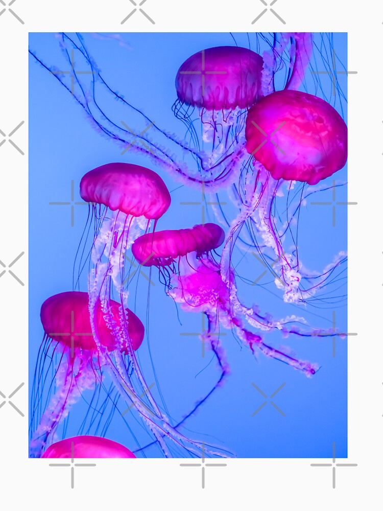 Mesmerizing Pink Jellyfish in Blue Glow by Bentenya
